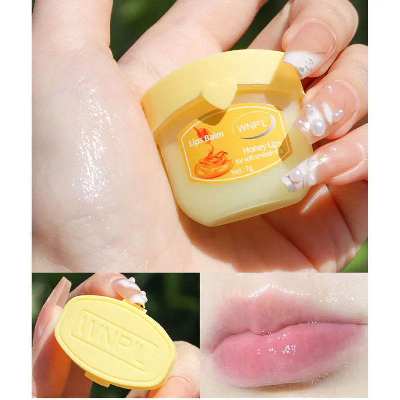 4/6/8pc Plant-Based Moisturizing Lip Balm Set